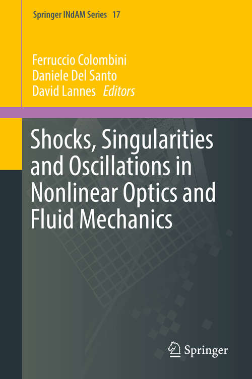 Book cover of Shocks, Singularities and Oscillations in Nonlinear Optics and Fluid Mechanics (Springer INdAM Series #17)