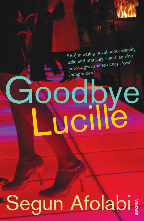 Book cover of Goodbye Lucille