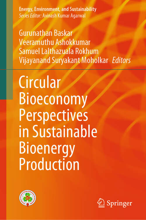 Book cover of Circular Bioeconomy Perspectives in Sustainable Bioenergy Production (2024) (Energy, Environment, and Sustainability)