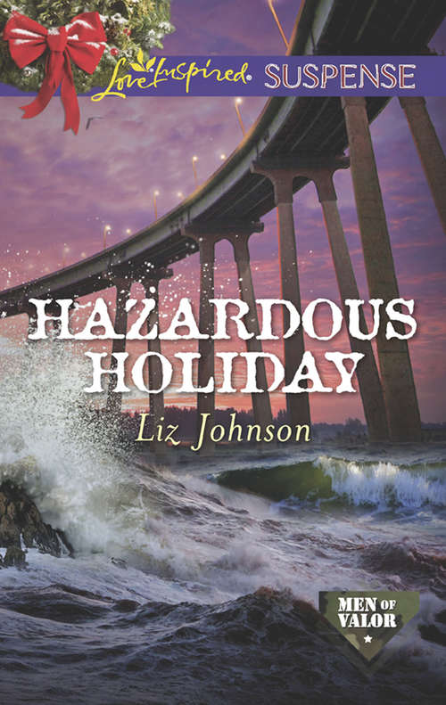 Book cover of Hazardous Holiday: Surviving Christmas Holiday High Alert Christmas Conspiracy Hazardous Holiday (ePub edition) (Men of Valor #5)