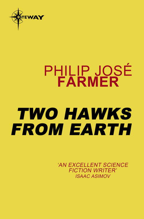 Book cover of Two Hawks from Earth