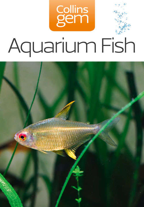 Book cover of Aquarium Fish (ePub edition) (Collins Gem)