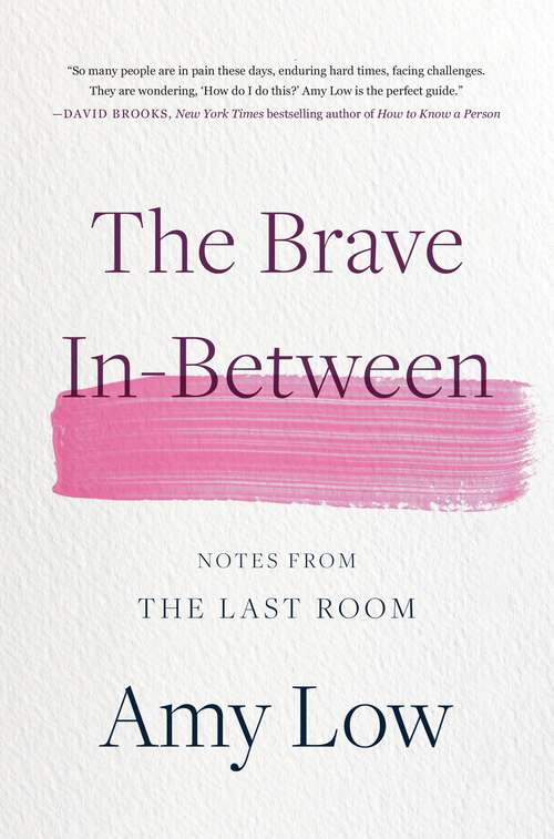 Book cover of The Brave In-Between: Notes from the Last Room