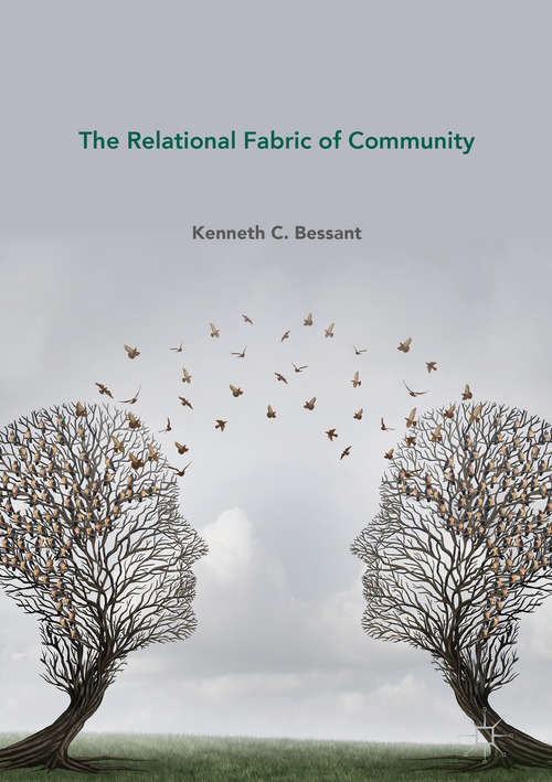 Book cover of The Relational Fabric of Community (1st ed. 2018)