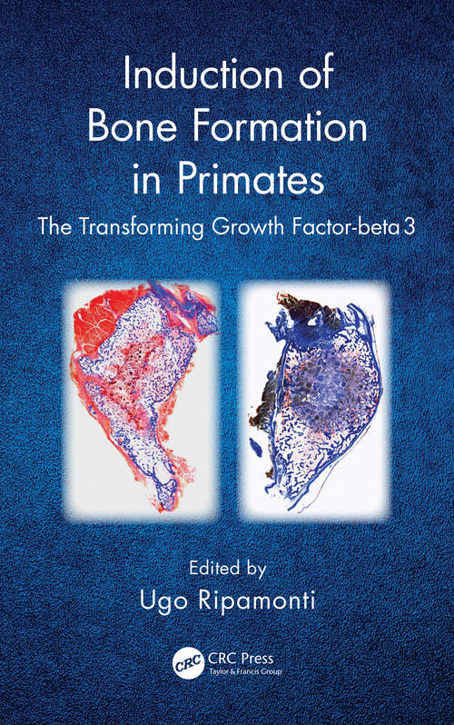 Book cover of Induction of Bone Formation in Primates: The Transforming Growth Factor-beta 3
