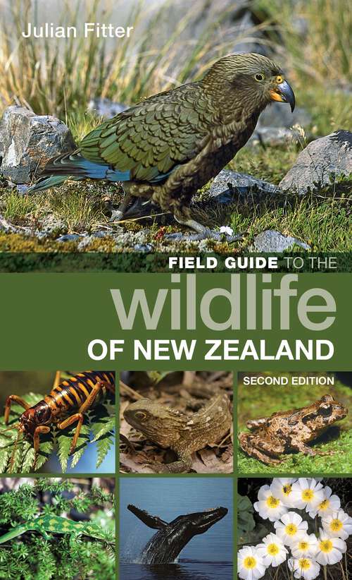 Book cover of Field Guide to the Wildlife of New Zealand