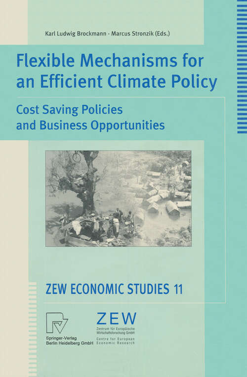 Book cover of Flexible Mechanisms for an Efficient Climate Policy: Cost Saving Policies and Business Opportunities (2000) (ZEW Economic Studies #11)