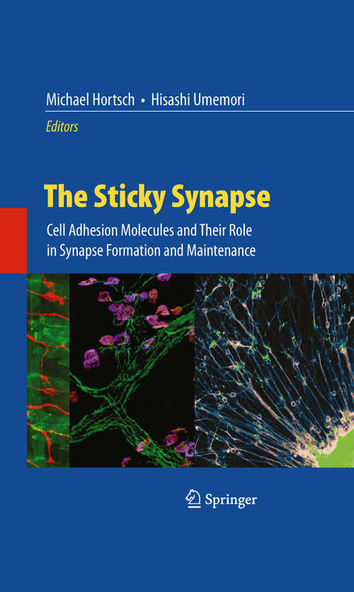 Book cover of The Sticky Synapse: Cell Adhesion Molecules and Their Role in Synapse Formation and Maintenance (2009)