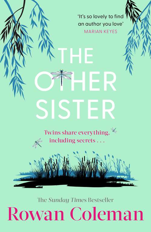 Book cover of The Other Sister: A moving novel about reconnecting with your true self from the Sunday Times bestselling author