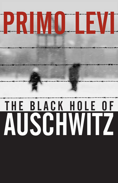 Book cover of The Black Hole of Auschwitz