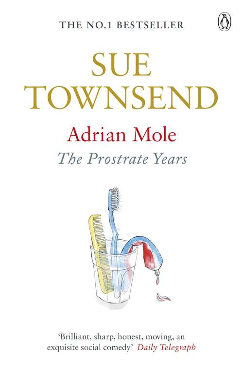Book cover of Adrian Mole: The Prostrate Years (8) (The\adrian Mole Ser. #8)