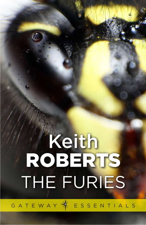 Book cover of The Furies (Gateway Essentials)