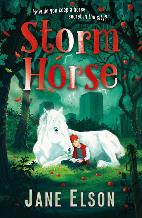 Book cover of Storm Horse