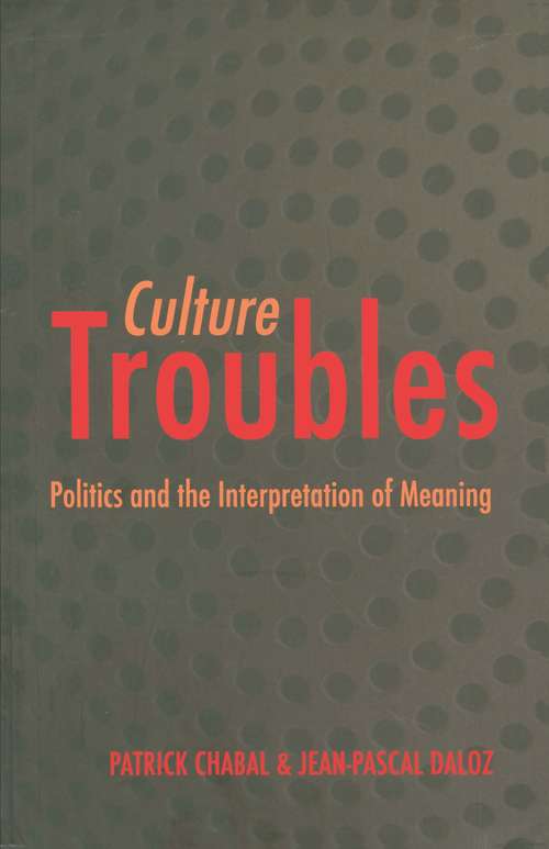 Book cover of Culture Troubles: Politics and the Interpretation of Meaning (Culture And Politics Ser.)