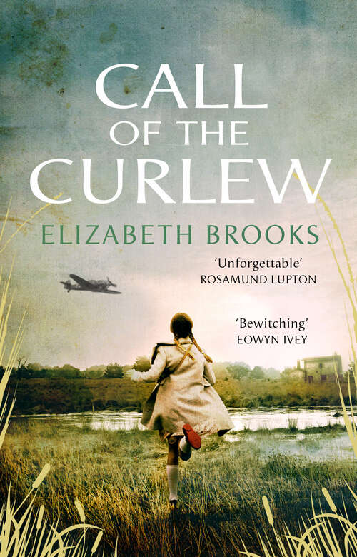 Book cover of Call of the Curlew