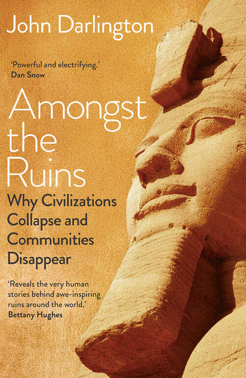 Book cover of Amongst the Ruins: Why Civilizations Collapse and Communities Disappear