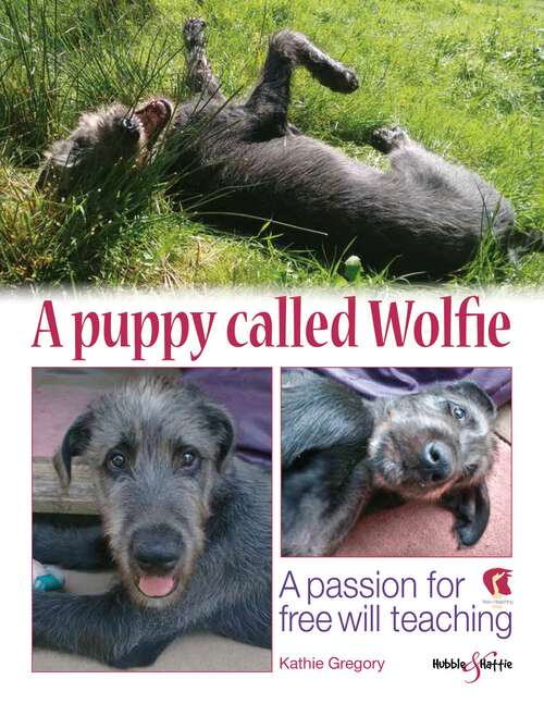 Book cover of A puppy called Wolfie: A passion for free will teaching