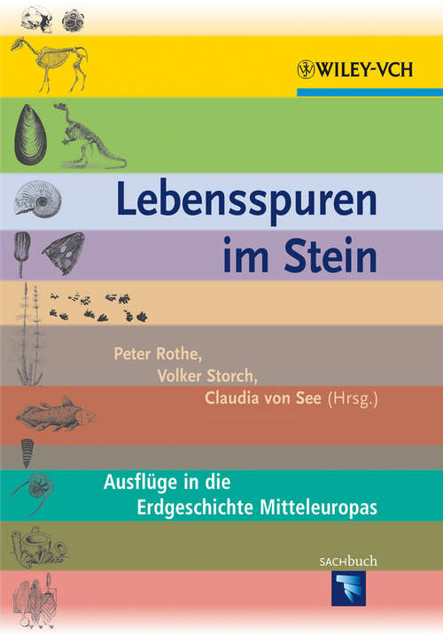 Book cover of Lebensspuren im Stein: Ausfluge in die Erdgeschichte Mitteleuropas