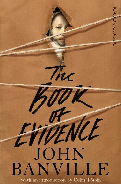 Book cover of The Book of Evidence: Picador Classic (4) (Frames #1)