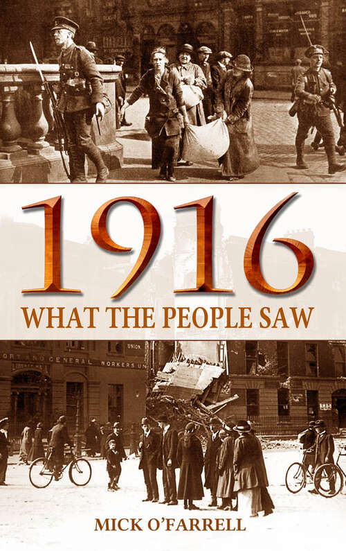 Book cover of 1916 - What the People Saw