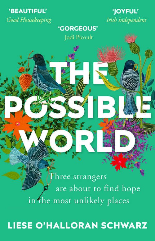 Book cover of The Possible World: A Novel