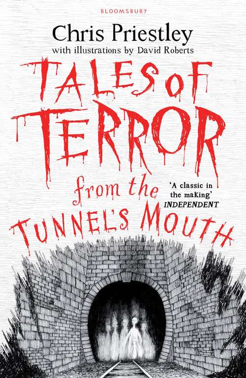 Book cover of Tales of Terror from the Tunnel's Mouth (Tales Of Terror Ser.)