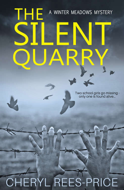 Book cover of The Silent Quarry: A DI Winter Meadows Mystery (Winter Meadows series #1)