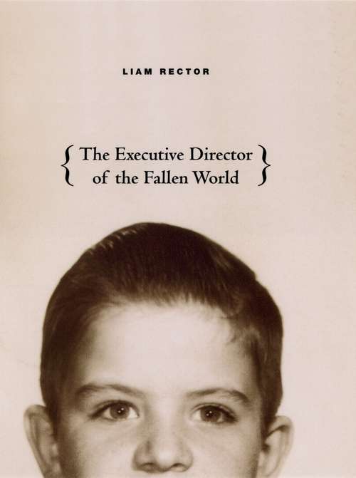 Book cover of The Executive Director of the Fallen World (Phoenix Poets)