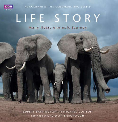 Book cover of Life Story: Many Lives, One Epic Journey