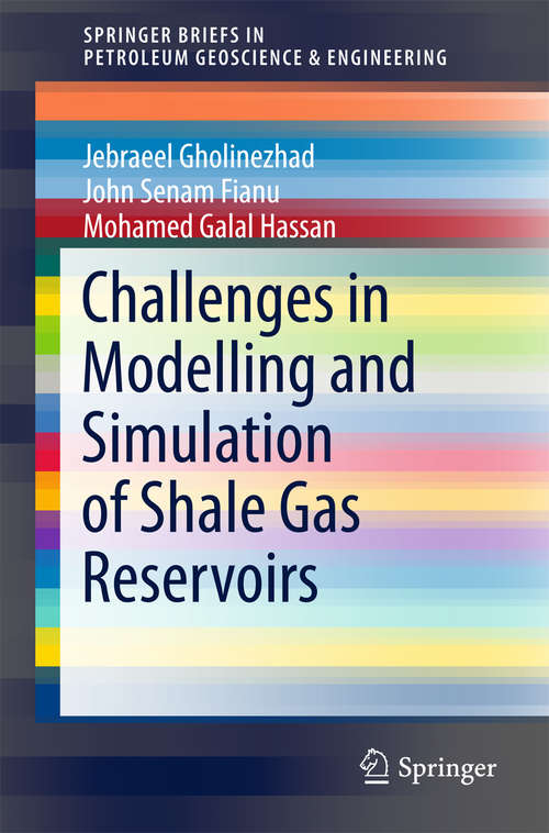 Book cover of Challenges in Modelling and Simulation of Shale Gas Reservoirs (SpringerBriefs in Petroleum Geoscience & Engineering)