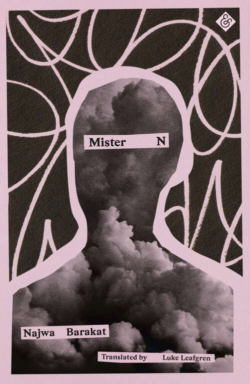 Book cover of Mister N