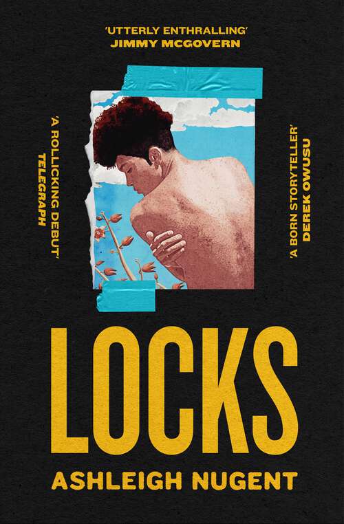 Book cover of Locks