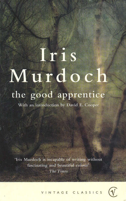 Book cover of The Good Apprentice (Virago Modern Classics)