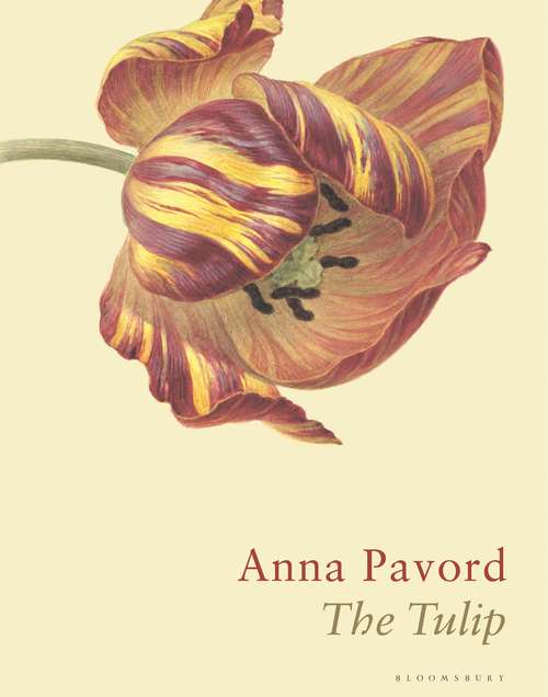 Book cover of The Tulip: The Story of the Flower that Has Made Men Mad