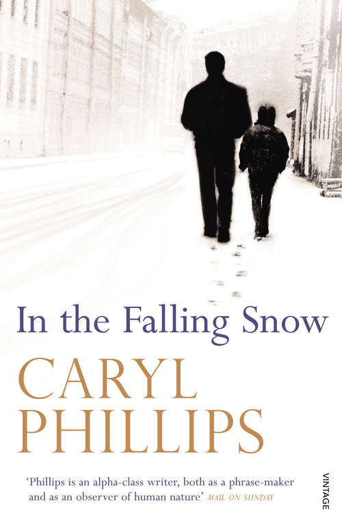 Book cover of In the Falling Snow (Vintage International Series)