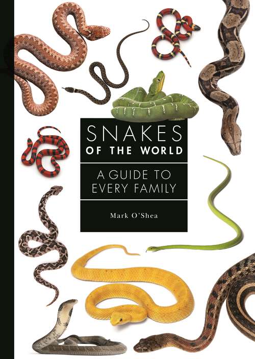 Book cover of Snakes of the World: A Guide to Every Family (A Guide to Every Family #6)