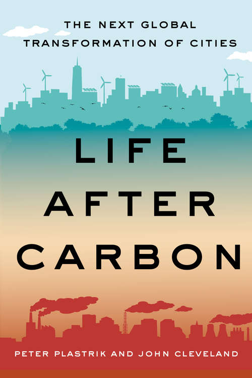 Book cover of Life After Carbon (1st ed. 2018)