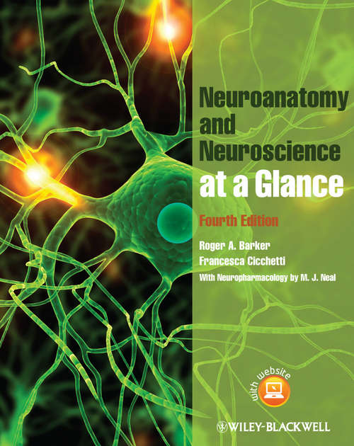 Book cover of Neuroanatomy and Neuroscience at a Glance (4) (At a Glance #84)