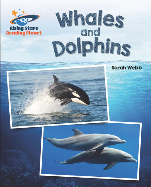 Book cover of Reading Planet - Whales and Dolphins - White: Galaxy (PDF)