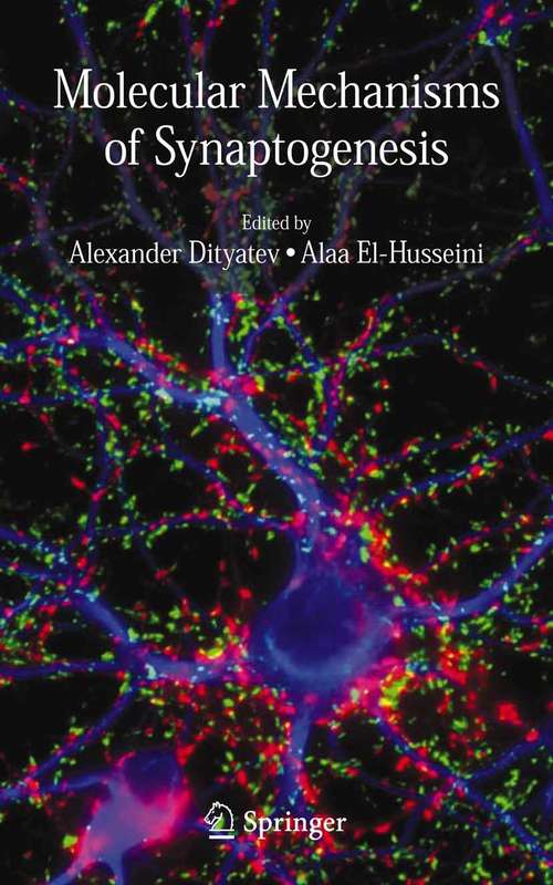 Book cover of Molecular Mechanisms of Synaptogenesis (2006)