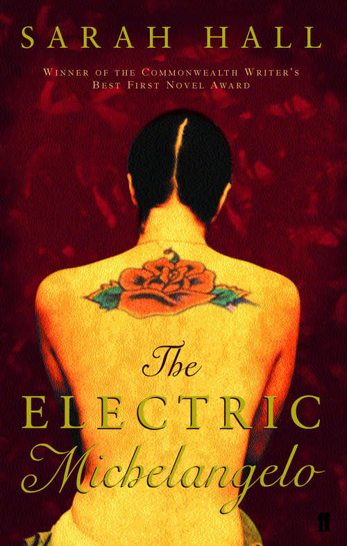 Book cover of The Electric Michelangelo (Main) (P. S. Ser.)