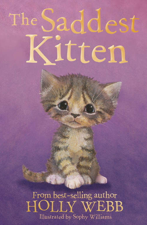 Book cover of The Saddest Kitten (Holly Webb Animal Stories #46)