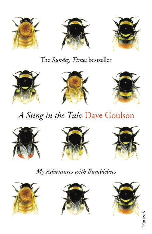Book cover of A Sting in the Tale: My Adventures With Bumblebees