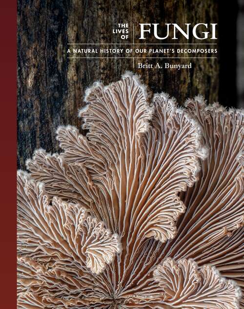 Book cover of The Lives of Fungi: A Natural History of Our Planet's Decomposers (The Lives of the Natural World #2)