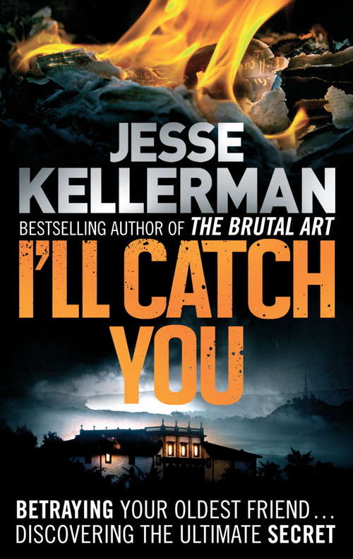 Book cover of I'll Catch You