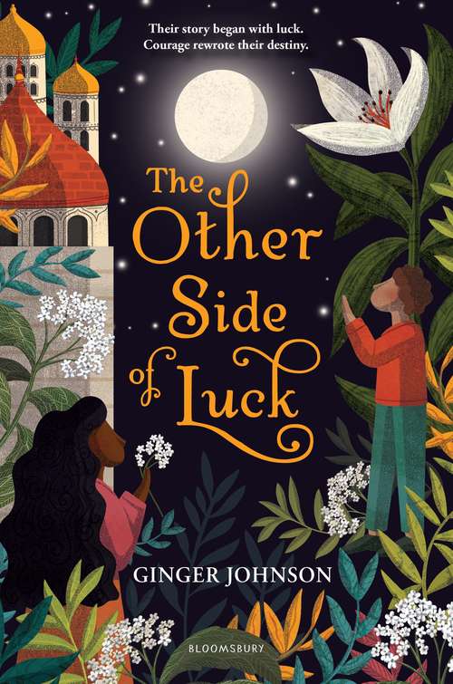 Book cover of The Other Side of Luck