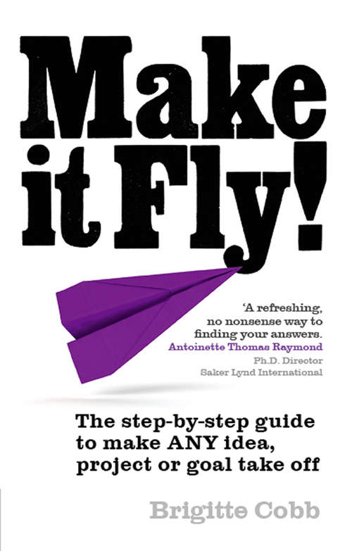 Book cover of Make It Fly!: The step by step guide to make ANY idea, project or goal take off