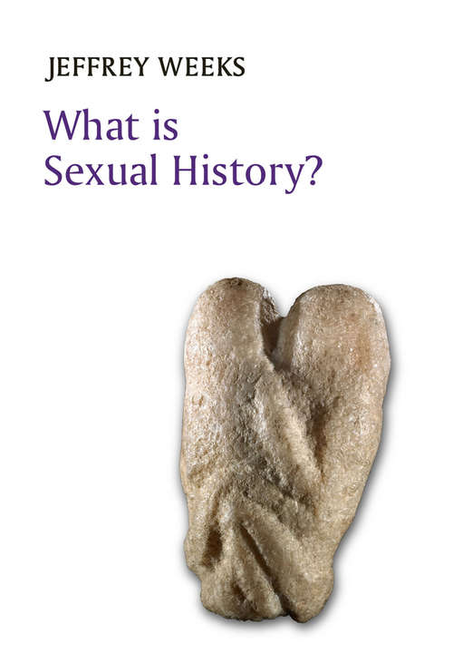 Book cover of What is Sexual History? (What is History?)