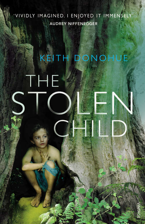 Book cover of The Stolen Child (Center Point Platinum Fiction (large Print) Ser.)