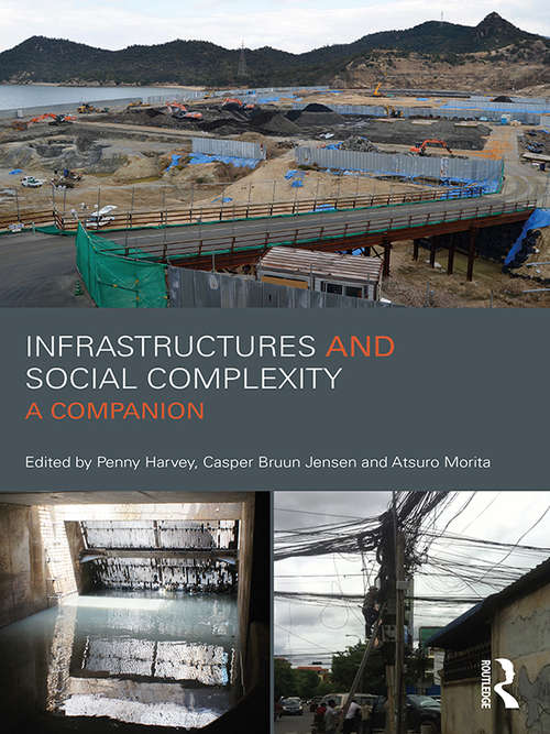 Book cover of Infrastructures and Social Complexity: A Companion (CRESC)